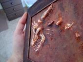 Dragon skull fossil sculpture in a frame, side view