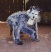 1997 Grey Wolf Costume - Crouched