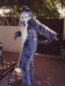 1997 Grey Wolf Costume - Tail