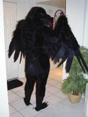 Black Raven Costume - Nevar