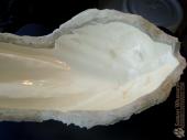 First layer of mask latex in the mold